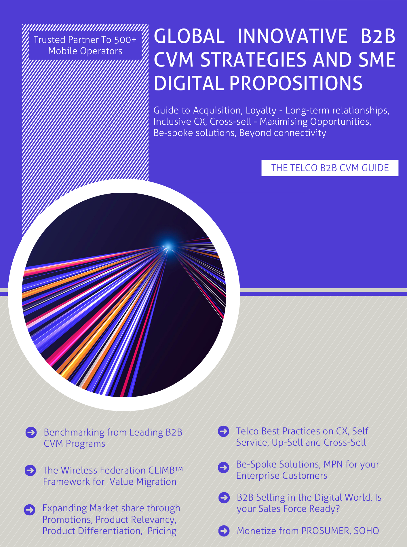 Telco B2B CVM Guide: Global Innovative B2B CVM Strategies & SME Digital Propositions